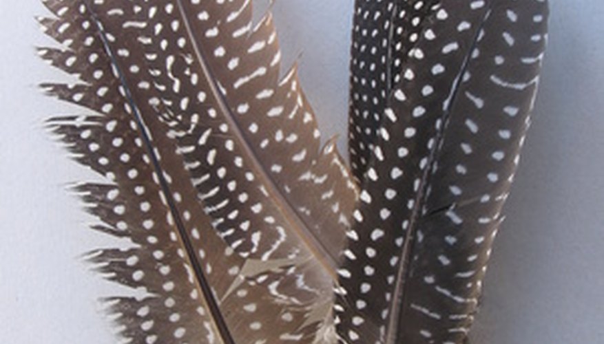 Vermicomposting with feather waste takes time but can result in nitrogen-rich fertilizer. Vermicomposting with feather waste takes time but can result in nitrogen-rich fertilizer.