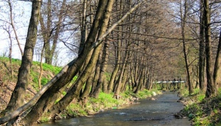 Calculate the flow rate of any stream with a few simple steps. Calculate the flow rate of any stream with a few simple steps.