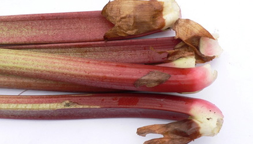 Plant rhubarb in containers instead of in the soil. Plant rhubarb in containers instead of in the soil.