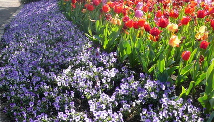 Use flowering annuals and change out with new every season. Use flowering annuals and change out with new every season.