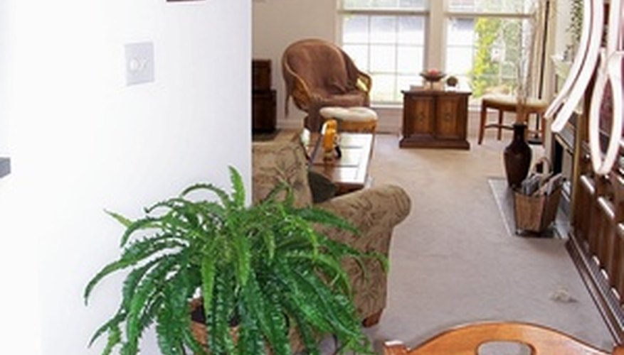 Take advantage of a sunny room by growing plants. Take advantage of a sunny room by growing plants.