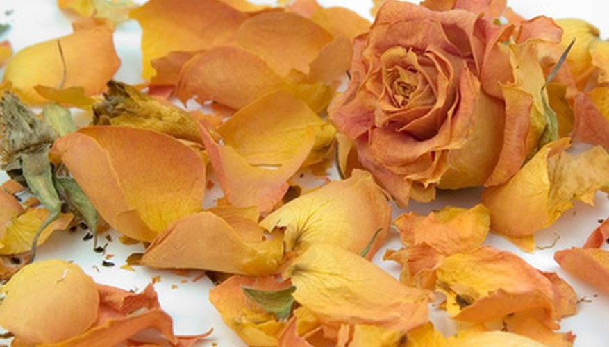 Fragrant dried rose petals have many uses. Fragrant dried rose petals have many uses.