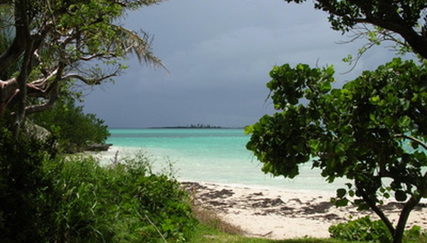 Ecosystems in the Bahamas range from sandy areas to forests. Ecosystems in the Bahamas range from sandy areas to forests.