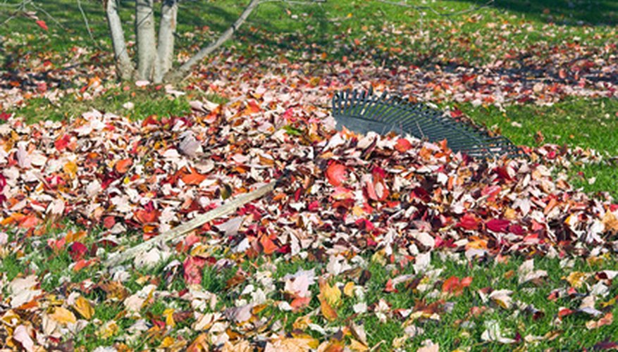 Fall yard cleanup can be a chore. Fall yard cleanup can be a chore.