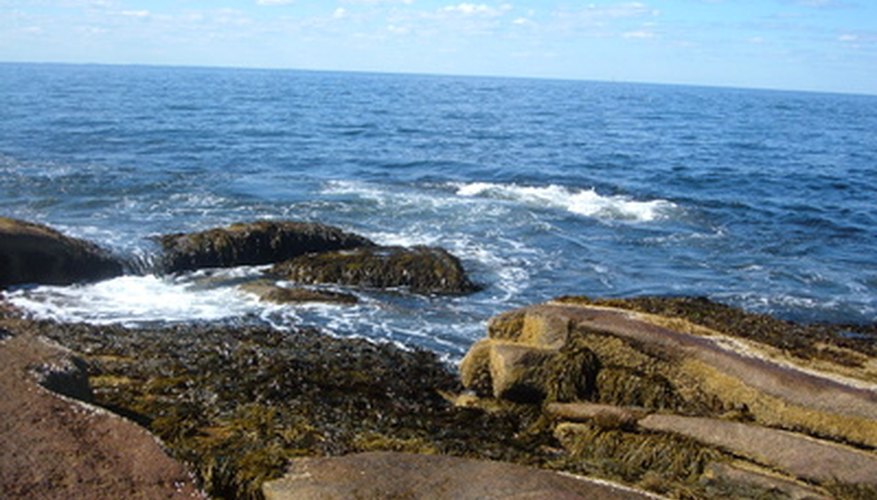 The Jersey shore is a complex of ancient river deltas. The Jersey shore is a complex of ancient river deltas.