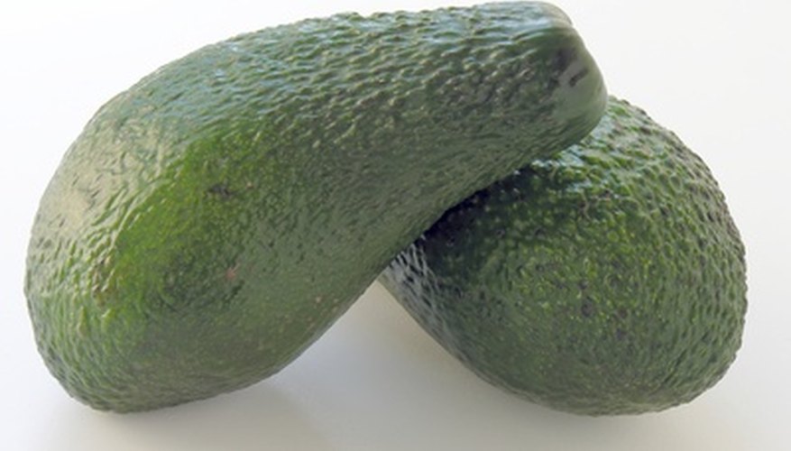 Avocadoes grow in warm climates. Avocadoes grow in warm climates.