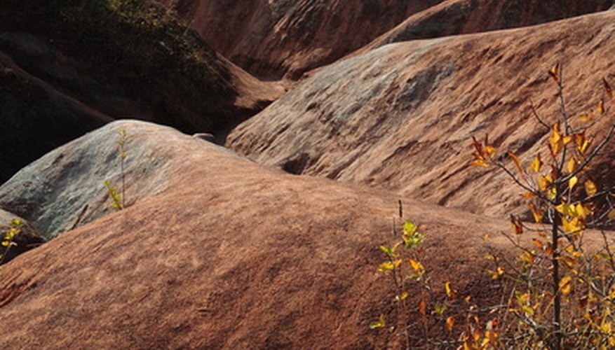The landscape of Ontario is composed of many different soil types. The landscape of Ontario is composed of many different soil types.