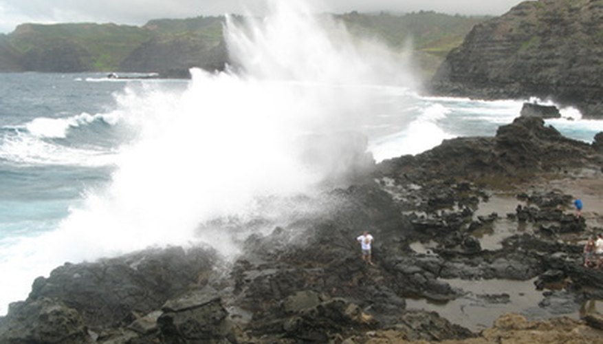 Gardens near the ocean can be harmed by sea-spray. Gardens near the ocean can be harmed by sea-spray.