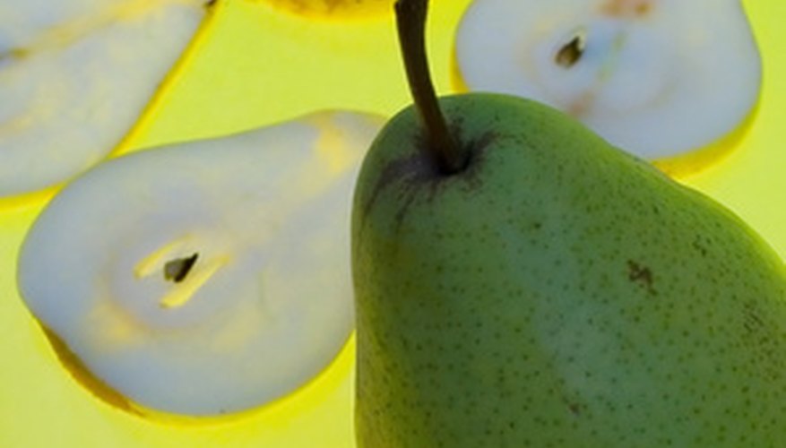 Anjou pears are squat, with smooth, green skin. Anjou pears are squat, with smooth, green skin.