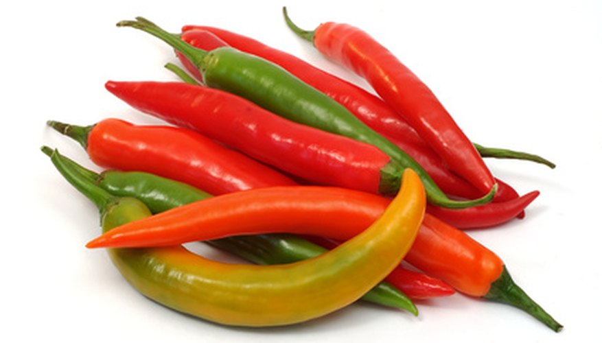 Cayenne is a hot and spicy chili pepper. Cayenne is a hot and spicy chili pepper.