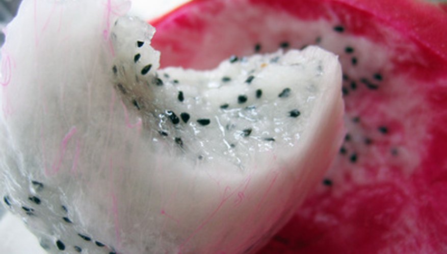 Dragon Fruit Dragon Fruit
