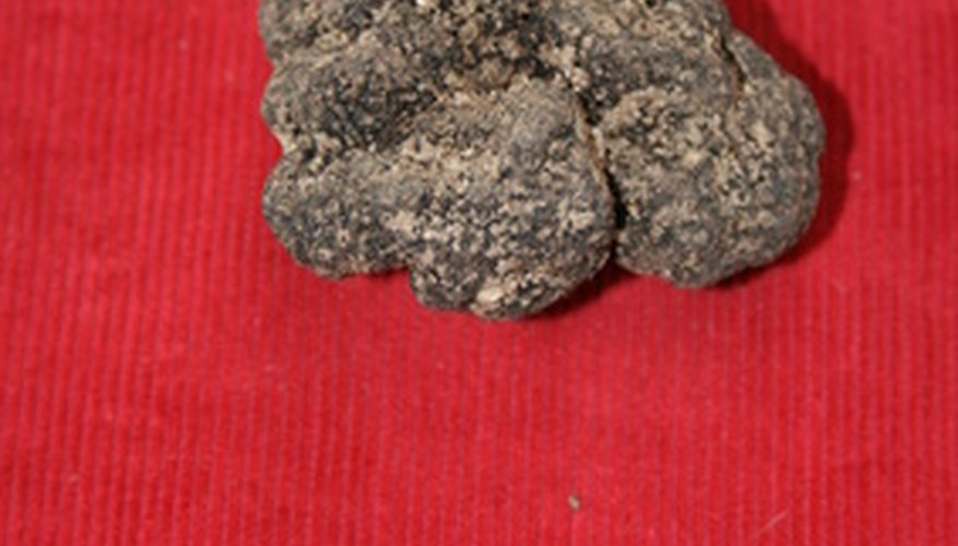 Truffles are a fragrant ingredient in many gourmet recipes. Truffles are a fragrant ingredient in many gourmet recipes.