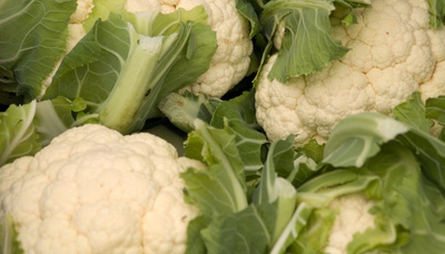 Numerous cauliflowers Numerous cauliflowers