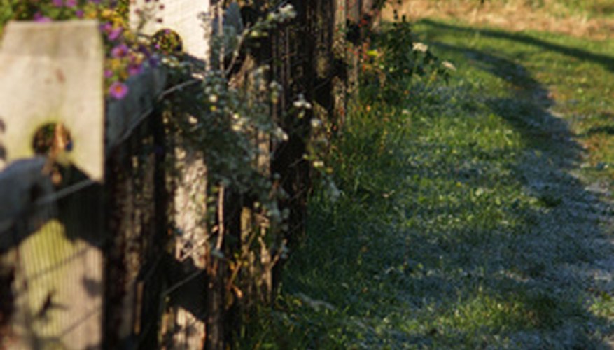 Flowers and plants add visual interest to a standard fence. Flowers and plants add visual interest to a standard fence.