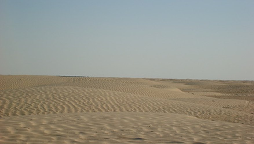 The African deserts have more plant life than most photos show. The African deserts have more plant life than most photos show.