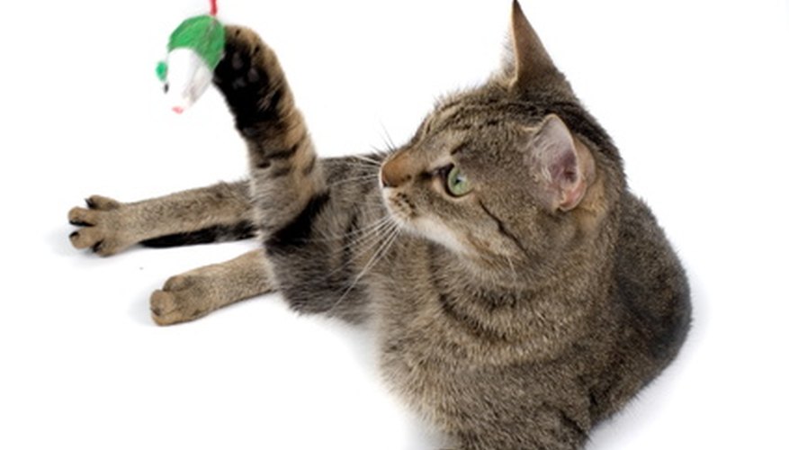 Many Cat Toys Are Stuffed With Dried Catnip Many Cat Toys Are Stuffed With Dried Catnip