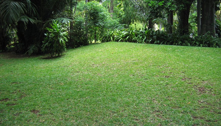 Use a brand of weed and feed specific to your variety of Florida turf grass. Use a brand of weed and feed specific to your variety of Florida turf grass.
