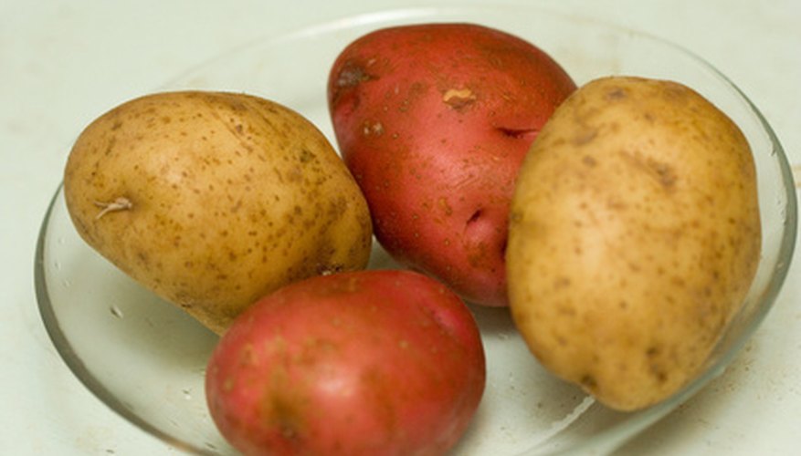 New potatoes are sweet and firm. New potatoes are sweet and firm.