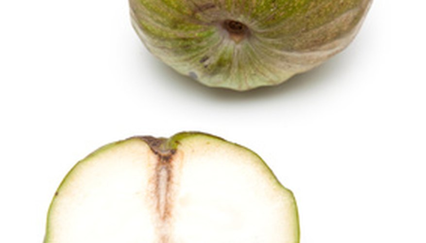 Custard apple Custard apple