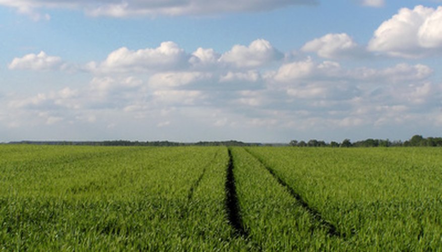 Farmers plant cover crops to protect their soil from erosion. Farmers plant cover crops to protect their soil from erosion.