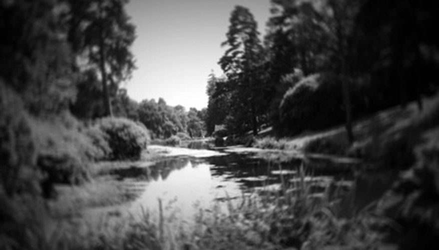 Pinhole photography allows for experimentation with depth and form. Pinhole photography allows for experimentation with depth and form.