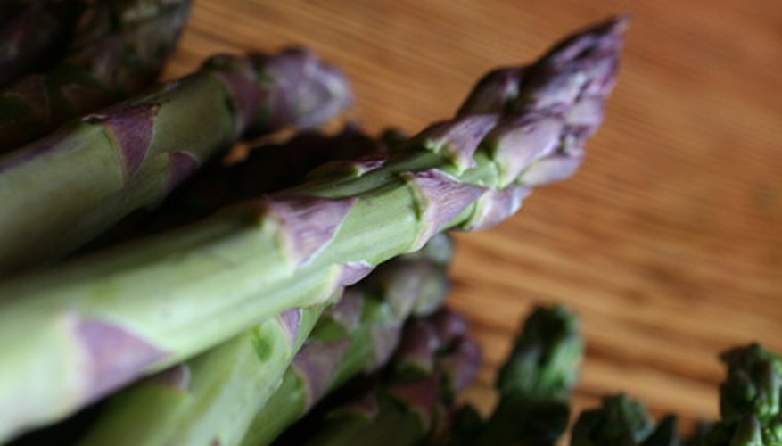 Asparagus plants produce vegetables for up to 15 years. Asparagus plants produce vegetables for up to 15 years.