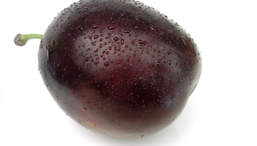 Plum fruits have a stony pit in their center. Plum fruits have a stony pit in their center.