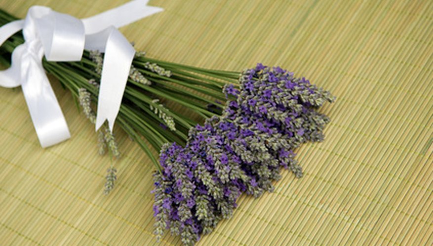 Lavender is used as perfume in women's clothing drawers. Lavender is used as perfume in women's clothing drawers.