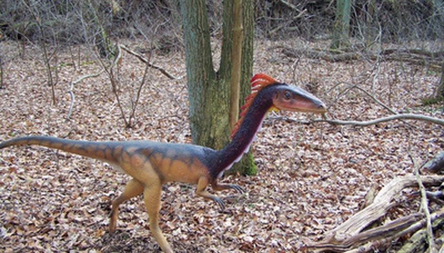 Most Texas dinosaurs were herbivores, unlike this carnivorous raptor. Most Texas dinosaurs were herbivores, unlike this carnivorous raptor.