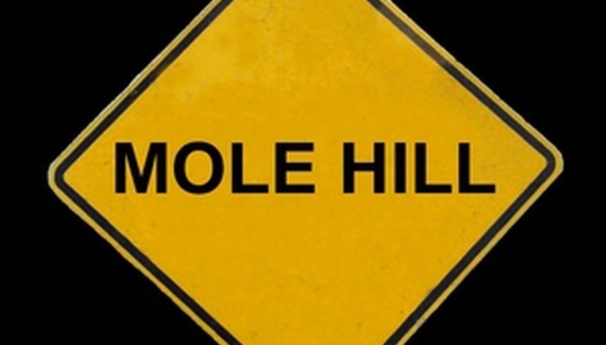 Be careful when attempting to kill moles. Be careful when attempting to kill moles.
