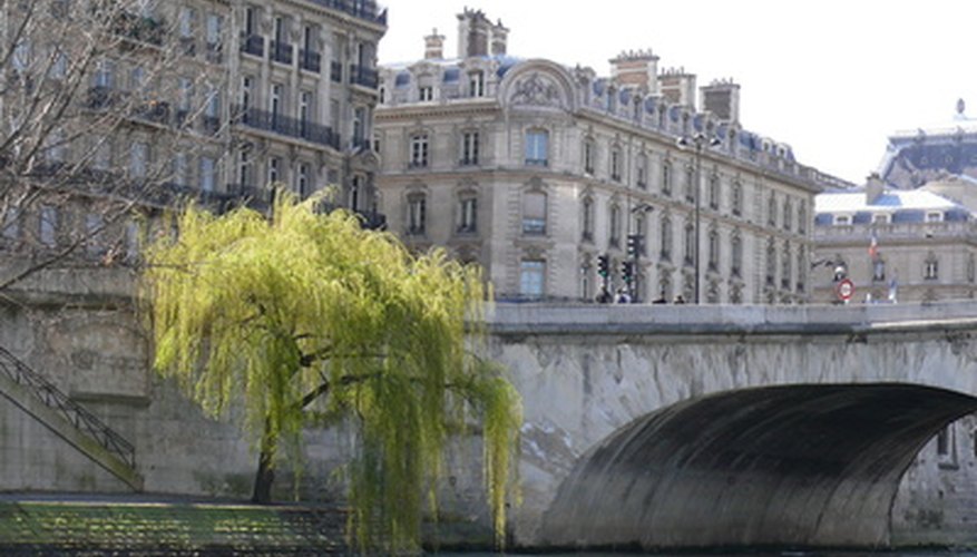 Weeping willows thrive near ready sources of water. Weeping willows thrive near ready sources of water.
