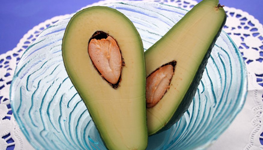 Georgia gardeners can grow dwarf avocado trees. Georgia gardeners can grow dwarf avocado trees.