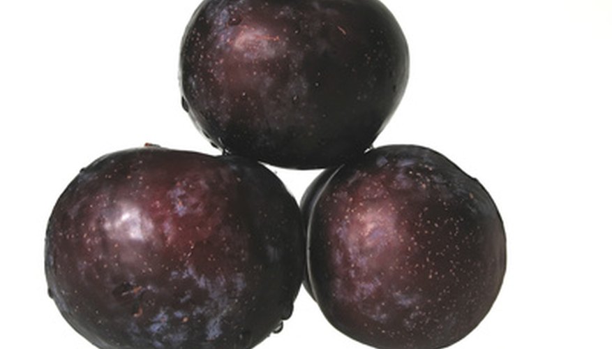 Different varieties of plums grow in Nebraska. Different varieties of plums grow in Nebraska.