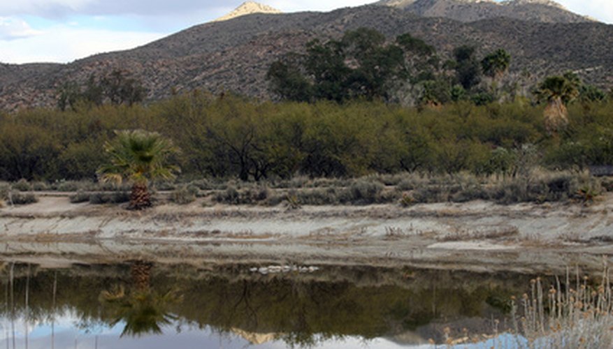 Weeds along stream beds can be controlled using herbicides approved for riparian zones. Weeds along stream beds can be controlled using herbicides approved for riparian zones.