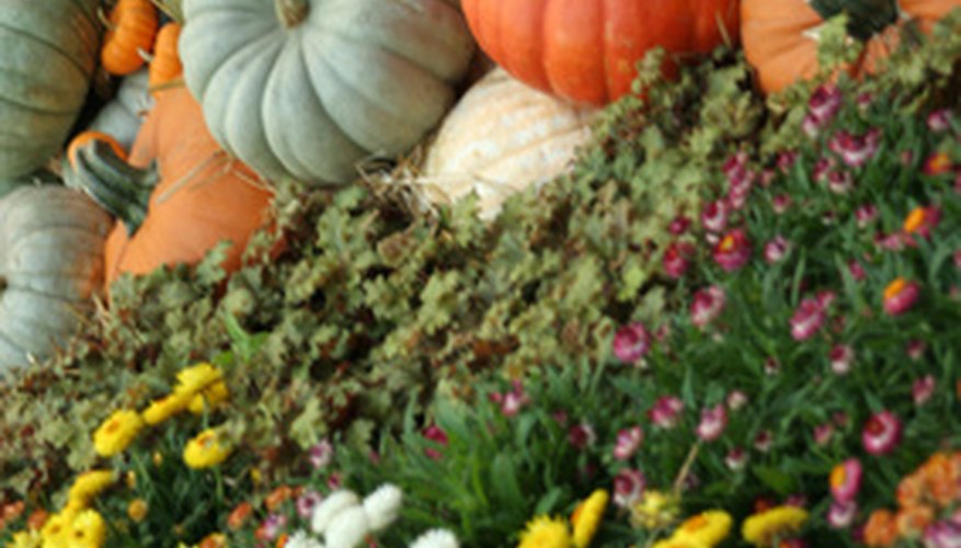 Fall flowers Fall flowers