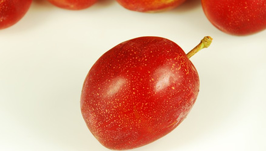 Ripe red plums Ripe red plums