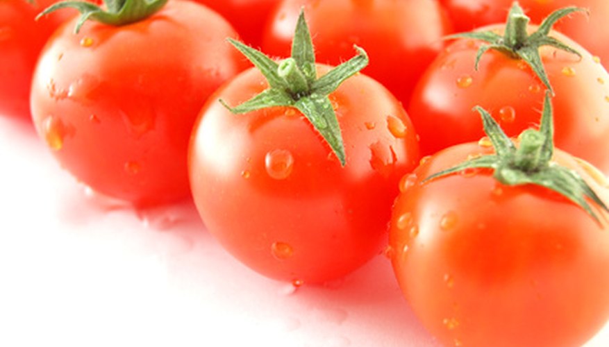 Grow tomatoes in any season Grow tomatoes in any season