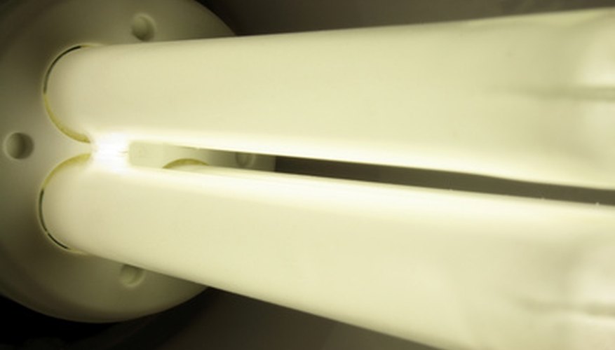It looks white, but this fluorescent bulb sheds a lot of blue light. It looks white, but this fluorescent bulb sheds a lot of blue light.