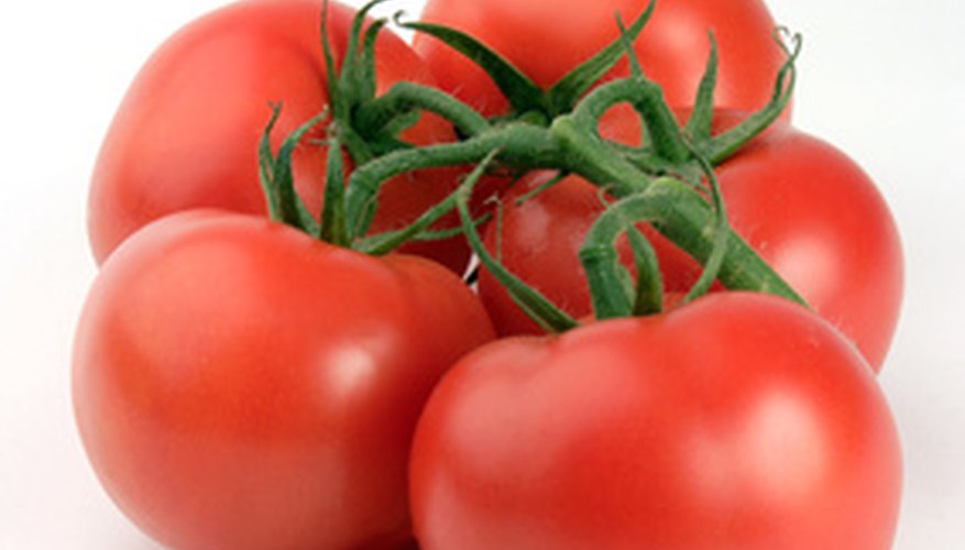 Tomatoes can be grown from seed indoors and transplanted outside or from seedlings after frost. Tomatoes can be grown from seed indoors and transplanted outside or from seedlings after frost.