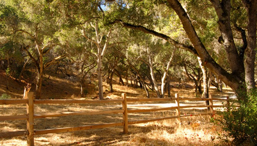 California has a variety of growing conditions. California has a variety of growing conditions.