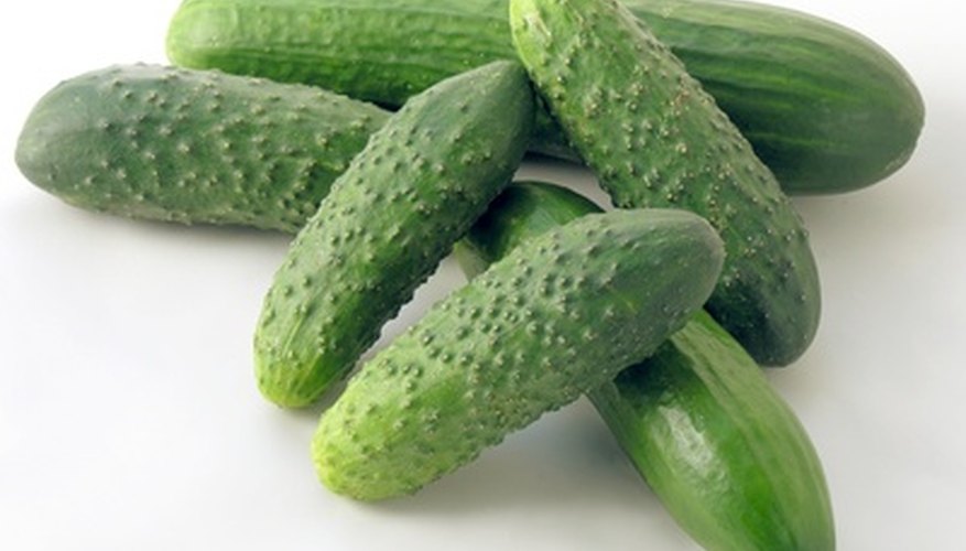 Cucumbers Cucumbers