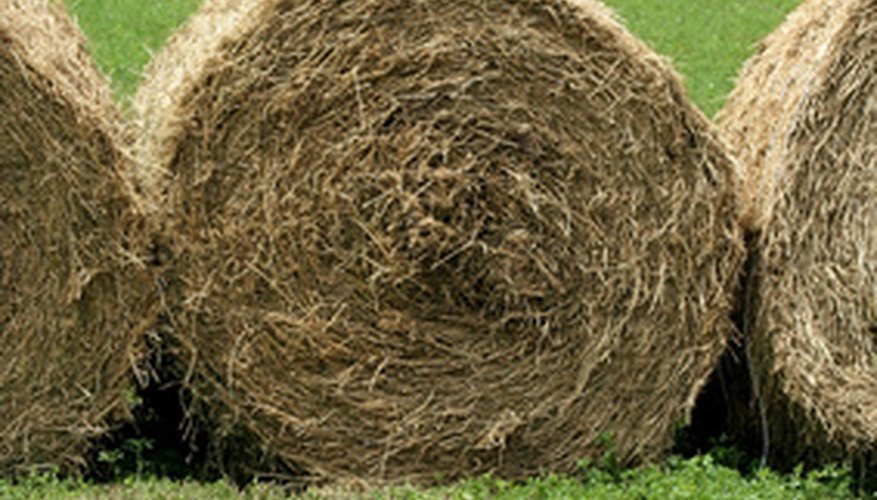 Straw is a good mulch for tomatoes. Straw is a good mulch for tomatoes.