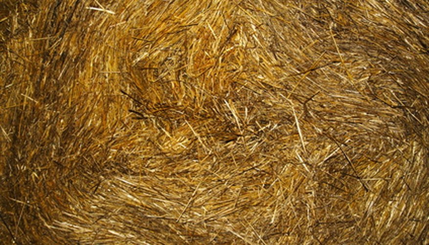 Straw makes a thick and inexpensive mulch. Straw makes a thick and inexpensive mulch.