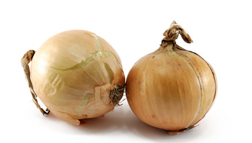 Onions Onions