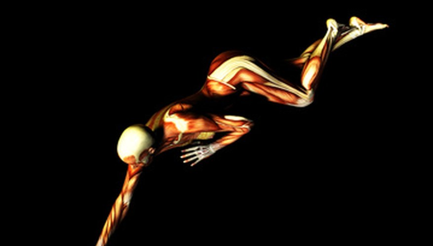 Anaerobic respiration keeps muscles moving after cellular oxygen is depleted Anaerobic respiration keeps muscles moving after cellular oxygen is depleted