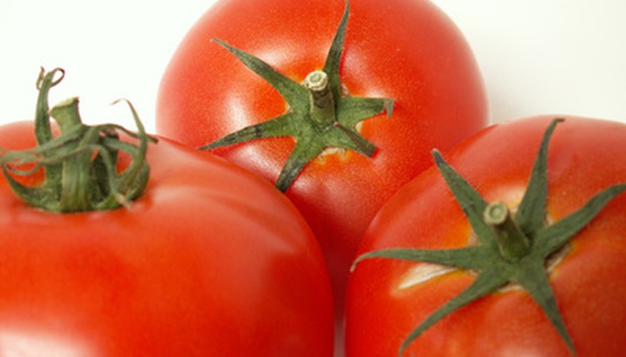 It's hard to beat the taste of fresh-picked tomatoes. It's hard to beat the taste of fresh-picked tomatoes.