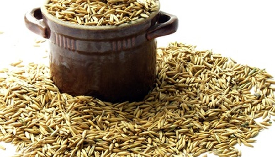 Heirloom oat varieties have been improved and produced for generations. Heirloom oat varieties have been improved and produced for generations.