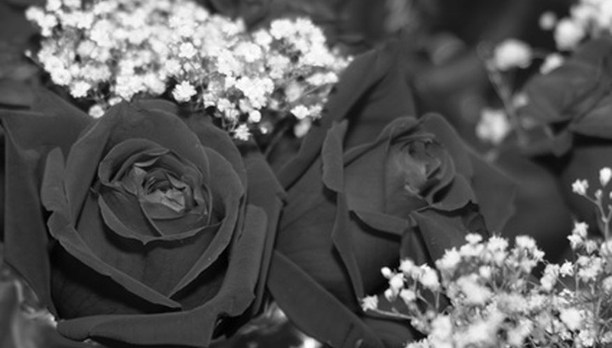 True black roses don't exist, except with the help of dyes--or black-and-white photography. True black roses don't exist, except with the help of dyes--or black-and-white photography.