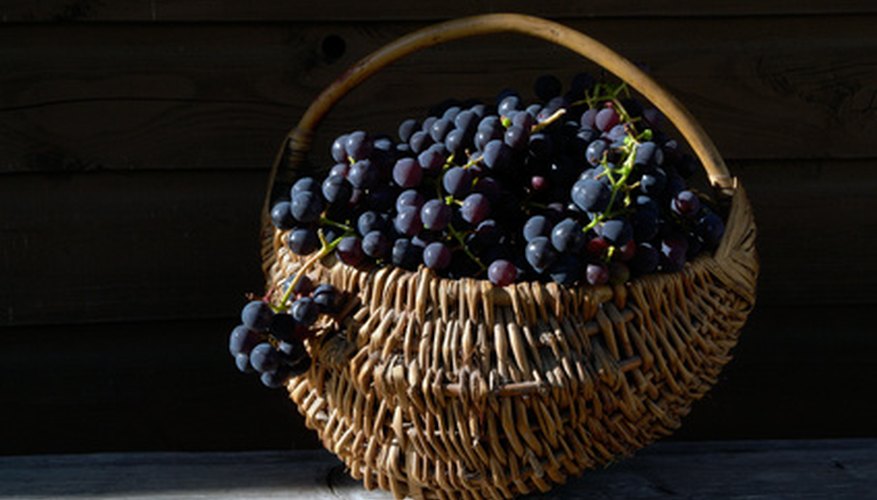 Commercial grapevine baskets can create a second market for farming products. Commercial grapevine baskets can create a second market for farming products.