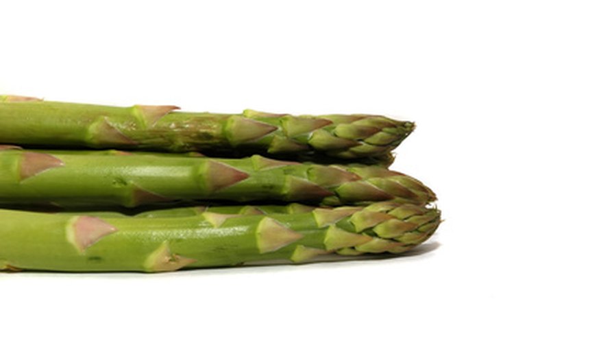 Asparagus should be planted in the fall if you live in the South. Asparagus should be planted in the fall if you live in the South.